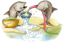 cartoon of carps filtering the water