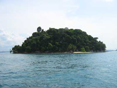 Pulau Hantu - A celebration of marine life: BWV does Jong